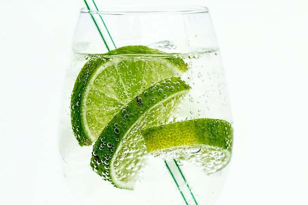 Imagem Drinks com Gin: 16 receitas fáceis para fazer agora