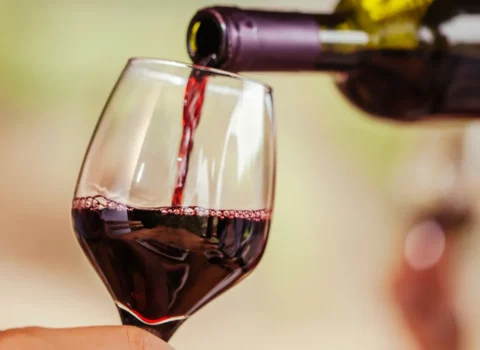 Curiosidades sobre o vinho